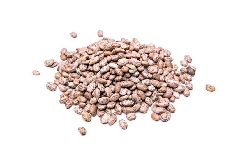 Pinto beans isolated