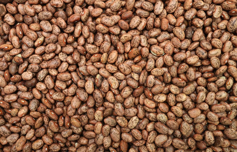 Pinto Beans texture