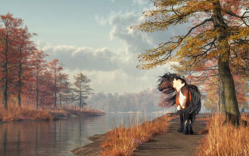 Autumn Mustang