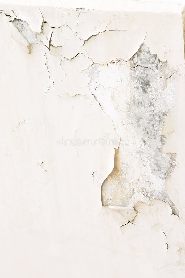 Pintura 2 da casca fotos de stock royalty free Pintura 2 da casca fotos de stock royalty free