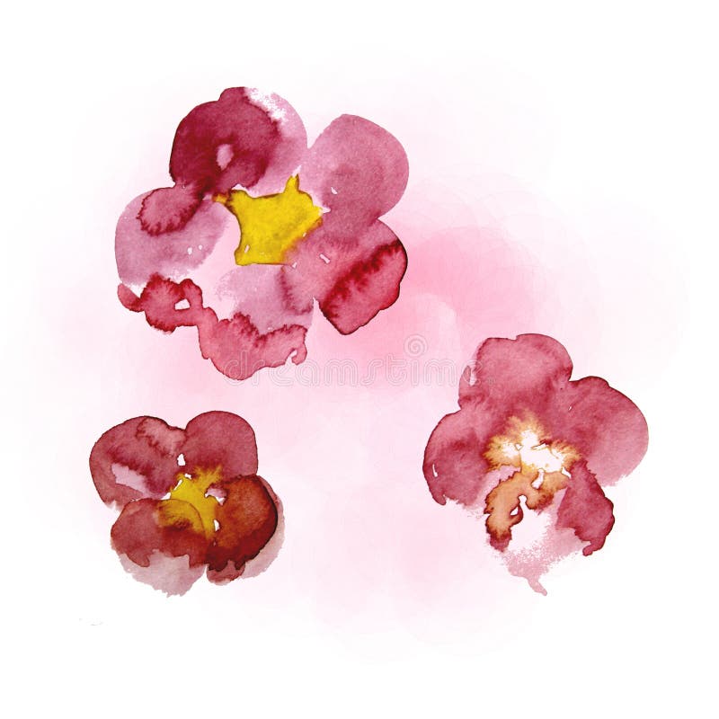 Pintura da aguarela de sakura ilustração royalty free Pintura da aguarela de sakura ilustração royalty free