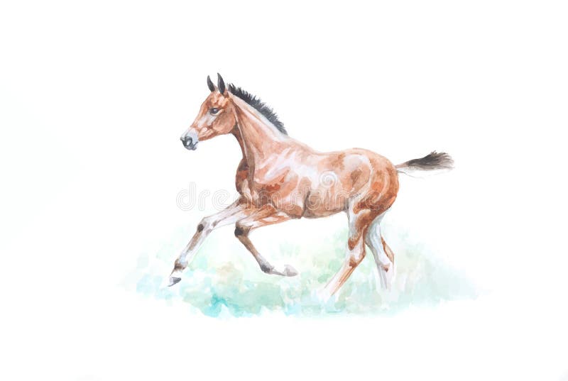 Fofo De Filhote. Cavalo. Objeto Isolado Em Um Fundo Branco. Criança Animal  De Tipo Alegre. Desenho Animado. Engraçado Ilustração do Vetor - Ilustração  de estilo, animal: 218272294