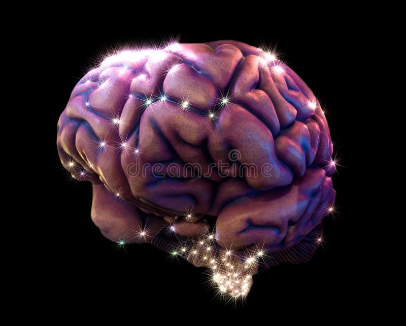 Pintura del cerebro foto de archivo Pintura del cerebro foto de archivo