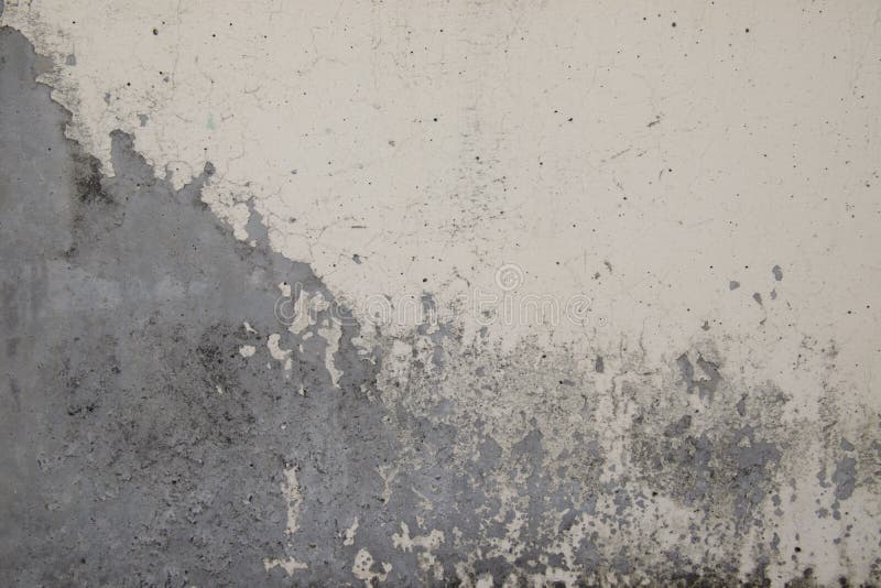 Pintura pelada en una pared de hormigón, Patrón de material rústico blanco de hueso, Grietas, arañazos, pintura y yeso viejos pel imagen de archivo Pintura pelada en una pared de hormigón, Patrón de material rústico blanco de hueso, Grietas, arañazos, pintura y yeso viejos pel imagen de archivo