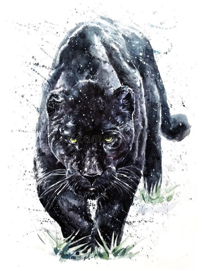 Pintura predadora dos animais selvagens dos animais da aquarela da pantera