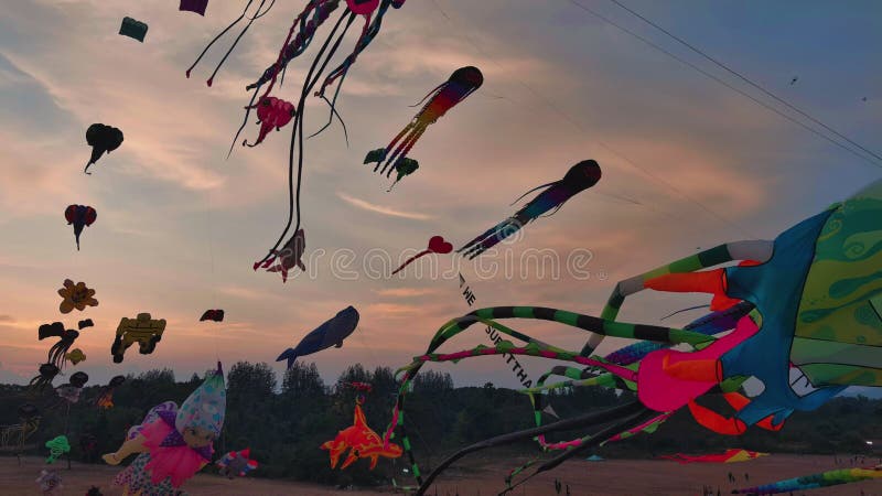 Pipas vibrantes dançando no céu um espetáculo cativante de cores e formas