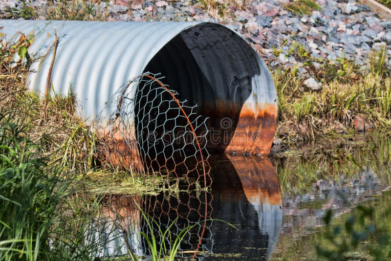 Pipe and mesh that recovers the penetration of beavers stock photo Pipe and mesh that recovers the penetration of beavers stock photo