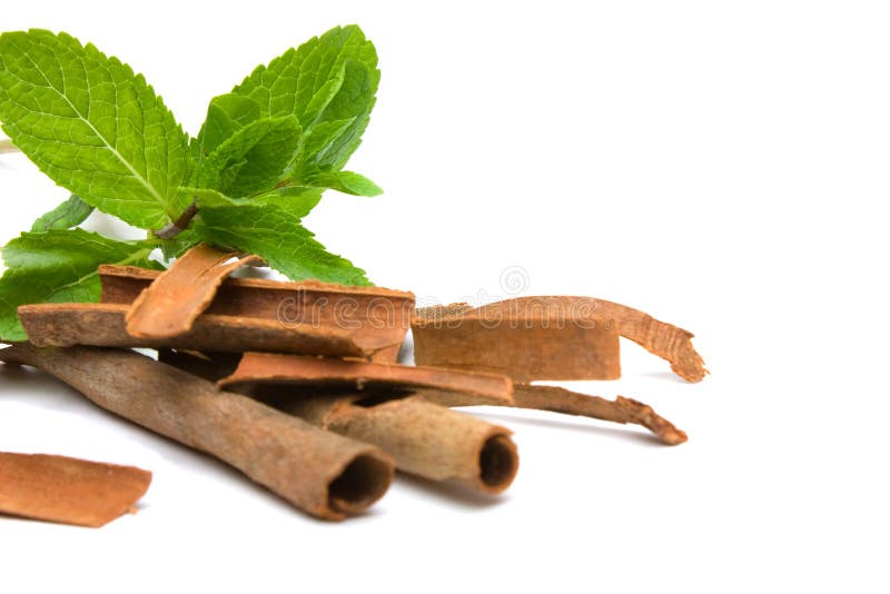 Fresh peppermint leaves and cassia-bark over white. Fresh peppermint leaves and cassia-bark over white
