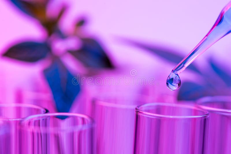 Pipeta sobre la sustancia química de caída de la muestra del tubo de ensayo en la hierba de la muestra fotografía de archivo Pipeta sobre la sustancia química de caída de la muestra del tubo de ensayo en la hierba de la muestra fotografía de archivo