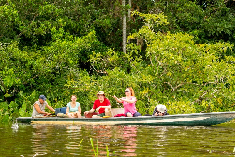 Piranha die Ecuador vissen stock afbeeldingen Piranha die Ecuador vissen stock afbeeldingen