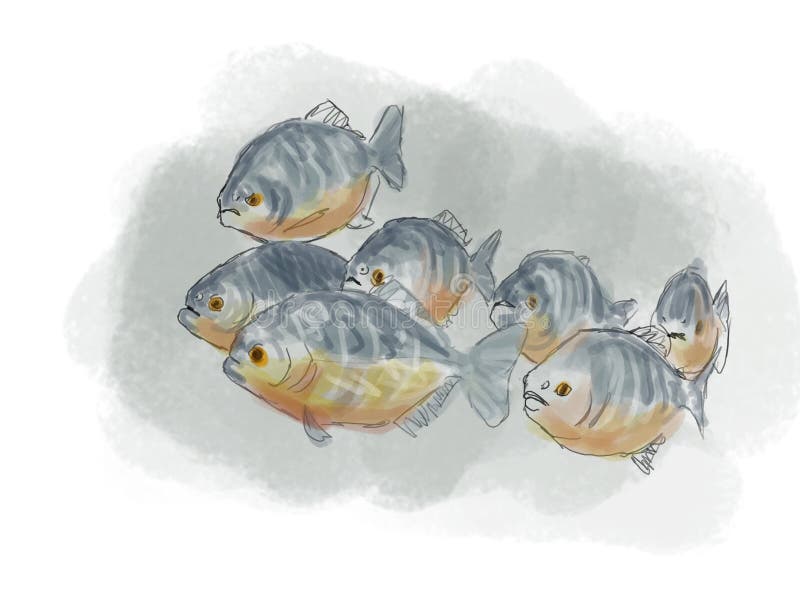 Digital Sketch of a group of piranhas