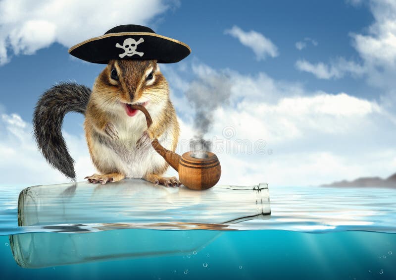 Pirata animal de derivação engraçado, esquilo com chapéu do obstrucionismo imagem de stock royalty free Pirata animal de derivação engraçado, esquilo com chapéu do obstrucionismo imagem de stock royalty free
