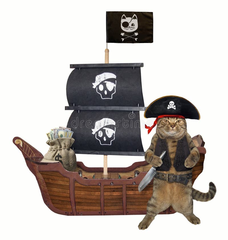 Navegando pelos mares da imaginação, gato e navio pirata