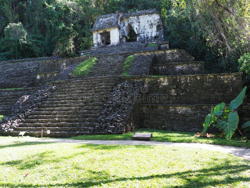 Pirámide pedregosa impresionante en el parque nacional maya antiguo de ciudad de Palenque en el estado en México, paisaje de Chia fotografía de archivo libre de regalías Pirámide pedregosa impresionante en el parque nacional maya antiguo de ciudad de Palenque en el estado en México, paisaje de Chia fotografía de archivo libre de regalías