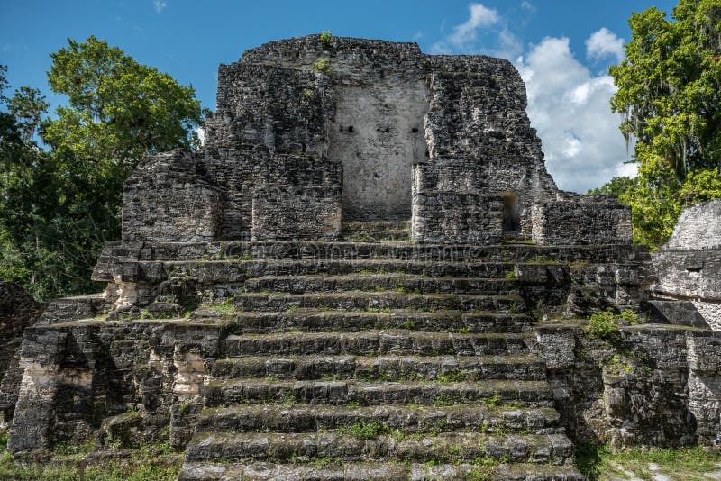 Pirámide y el templo en el parque de Tikal Objeto de visita turístico de excursión en Guatemala con los templos mayas y las ruina imagen de archivo Pirámide y el templo en el parque de Tikal Objeto de visita turístico de excursión en Guatemala con los templos mayas y las ruina imagen de archivo