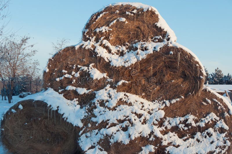 Pirâmide dos monte de feno cobertos com a neve fotos de stock Pirâmide dos monte de feno cobertos com a neve fotos de stock
