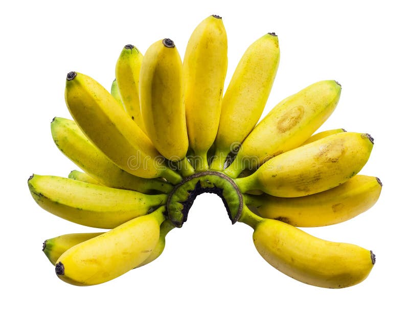  Banane  Pisang  Mas stockbild Bild von gelb s   