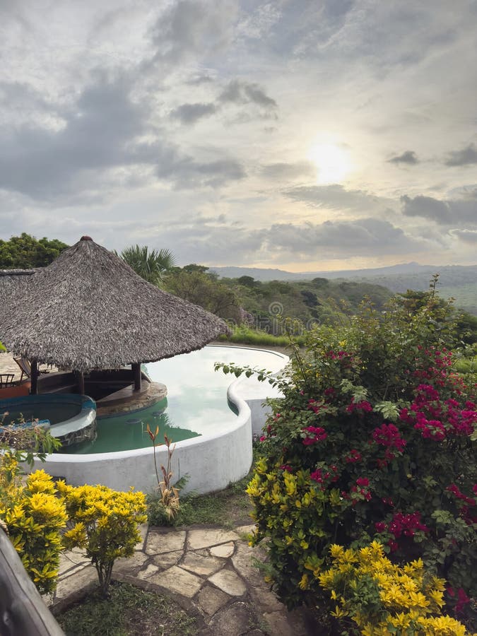 Piscina com toldo em fundo natural verde fotografia de stock