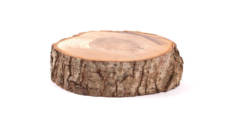 Piscina de madera de forma irregular con anillos de crecimiento de la corteza y el árbol