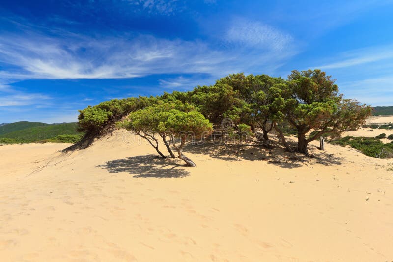 Piscinas dune - Sardinia, Italy