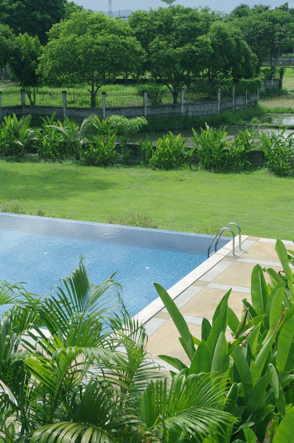 Piscine dans la nature photographie stock libre de droits Piscine dans la nature photographie stock libre de droits