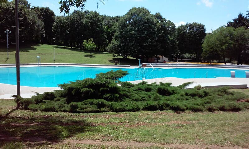 Piscine entourée par la forêt photographie stock Piscine entourée par la forêt photographie stock