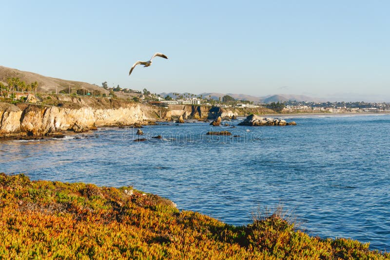 Pismo Beach Cliffs e Ocean View. spiaggia pismo ca fotografia stock libera da diritti