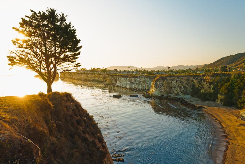 Pismo Beach Seaside Cliffs and Pine Tree at Sunset Stock Photo Image