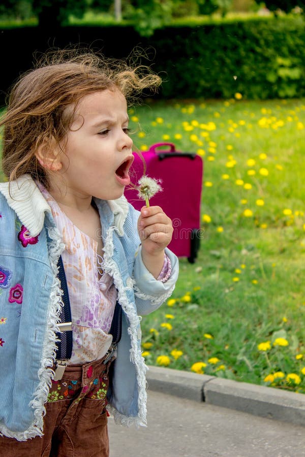 Pissenlit de coup d'enfant de petite fille images libres de droits Pissenlit de coup d'enfant de petite fille images libres de droits
