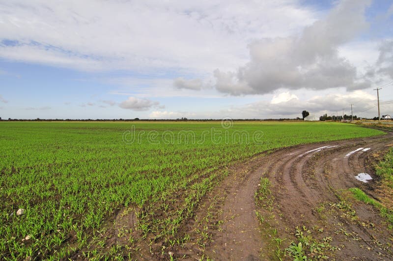 Pista del alimentador en campo de granja fotografía de archivo Pista del alimentador en campo de granja fotografía de archivo