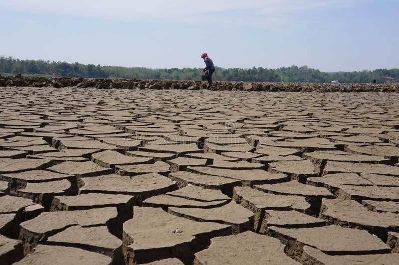 Estación seca foto de archivo editorial. Imagen de residente 32150228