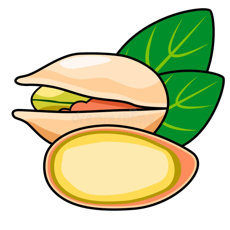 Pistacchi, isolati su un fondo bianco royalty illustrazione gratis