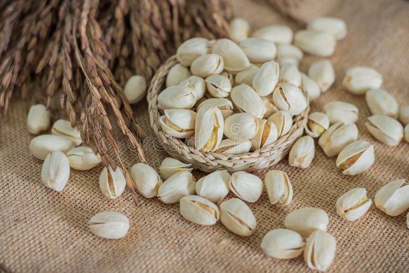 Download Pistacchi salati fotografia stock. Immagine di culinario - 56888650