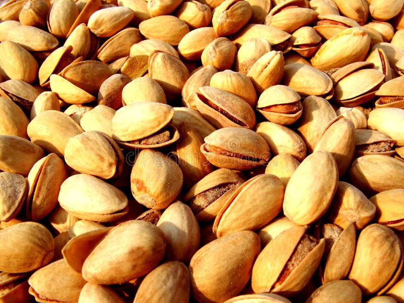 Pistachio stock photo. Image of salted, colored, healthy 5372516