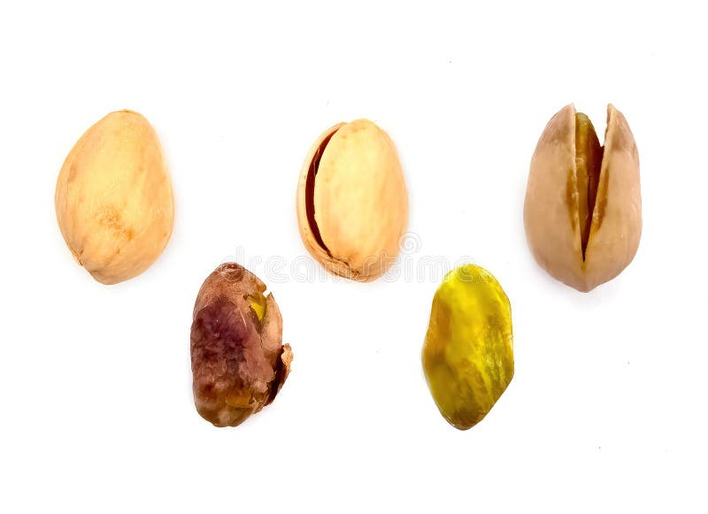 Pistachio fruit stock photo. Image of shell, pistachio 302968520