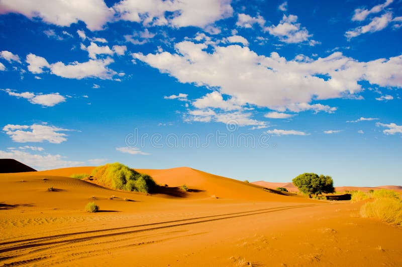 Pistas del coche en la arena anaranjada del desierto en Namibia Dunas en Sossusvlei, Namibia imagen de archivo Pistas del coche en la arena anaranjada del desierto en Namibia Dunas en Sossusvlei, Namibia imagen de archivo