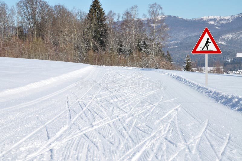 Piste de ski de fond à frauenau dans la forêt bavaroise. Image colorée et nette de la piste de ski de fond de frauenau dans la forêt bavaroise