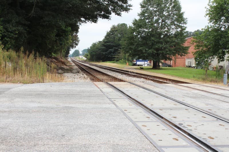 Piste del treno che si imbattono nella distanza in un paesaggio di fine dell'estate con gli alberi, le costruzioni e un cane immagine stock Piste del treno che si imbattono nella distanza in un paesaggio di fine dell'estate con gli alberi, le costruzioni e un cane immagine stock