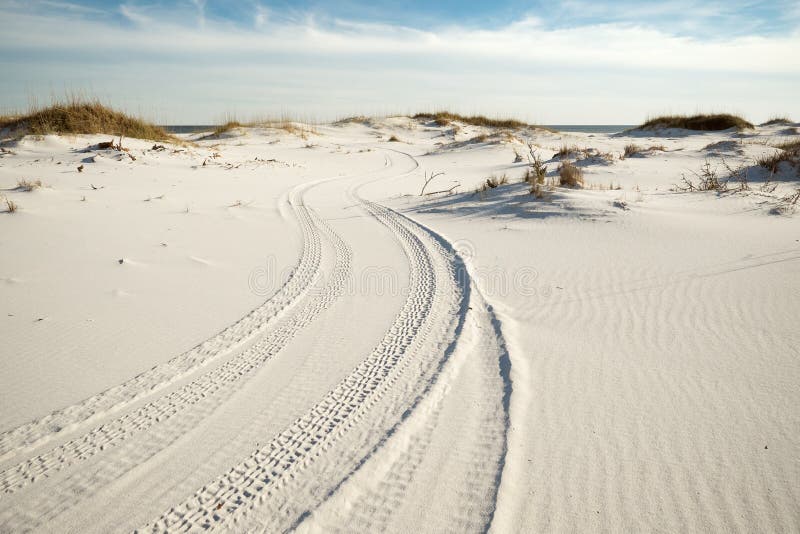 Piste della gomma in dune di sabbia della spiaggia al crepuscolo fotografia stock libera da diritti Piste della gomma in dune di sabbia della spiaggia al crepuscolo fotografia stock libera da diritti