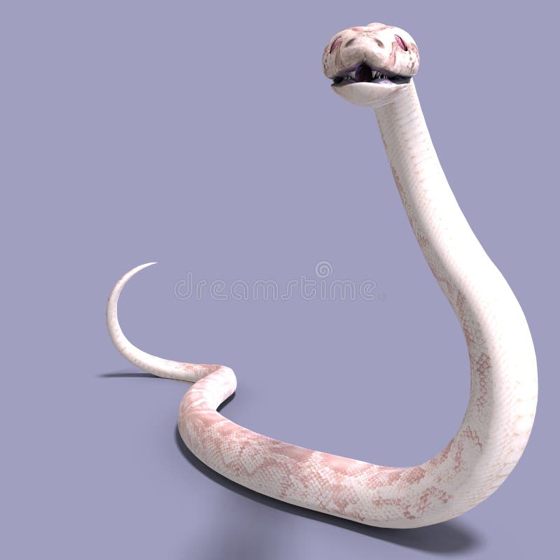 Cobra Da Serpente 3D Isolada Em Um Branco Ilustração Stock - Ilustração de  perigo, levantado: 9571680