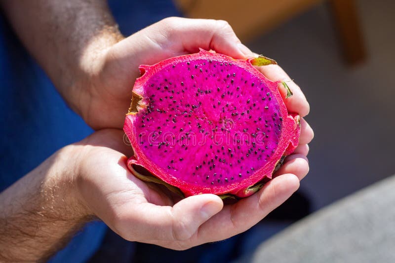 Pitahaya Dragon Fruit in Male Hands. Multiple Red Dragon Fruit Tropical ...