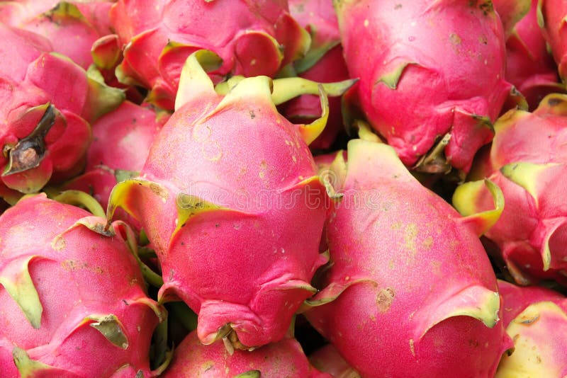 Pitaya imágenes de archivo libres de regalías Pitaya imágenes de archivo libres de regalías
