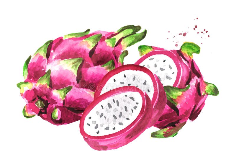 Pitaya Fruit Whole and Cut in Half. Red or Purple Dragon Fruit. Hand ...