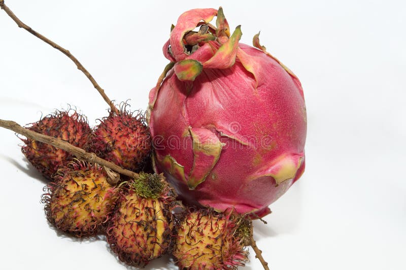 Pitaya e Rambutan immagini stock
