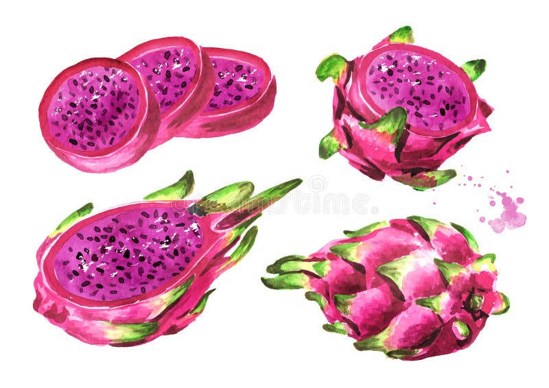 Pitaya Fruit Whole and Cut in Half. Red or Purple Dragon Fruit. Hand ...