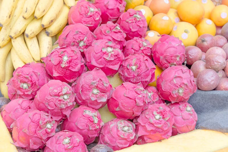 Pitaya (frutas del dragón) foto de archivo Pitaya (frutas del dragón) foto de archivo