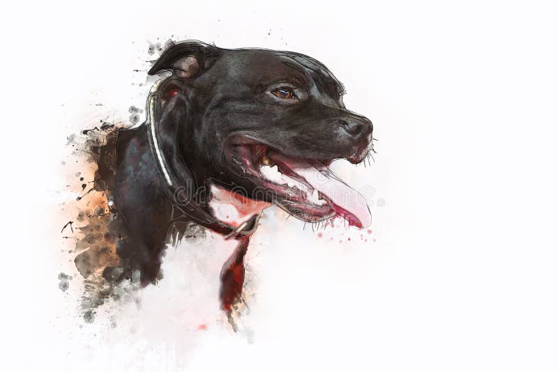 Pitbull Terrier de chien illustration de vecteur Pitbull Terrier de chien illustration de vecteur