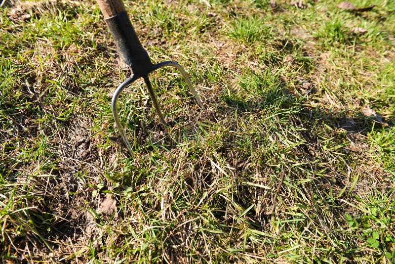 Pitchfork in the Ground on Farm Stock Photo Image of accumulation, rural 57630952