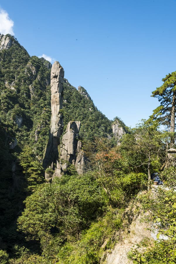 Pithon gigantesque se levant dans la montagne photo stock Pithon gigantesque se levant dans la montagne photo stock