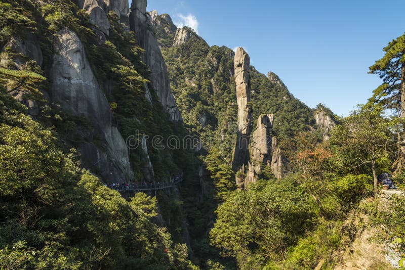 Pithon gigantesque se levant dans la montagne image stock Pithon gigantesque se levant dans la montagne image stock